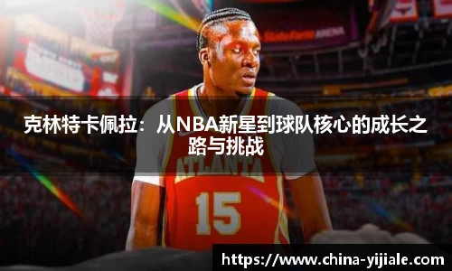 IM电竞官方网站