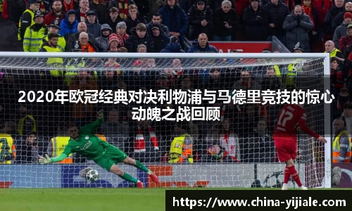 IM电竞官方网站